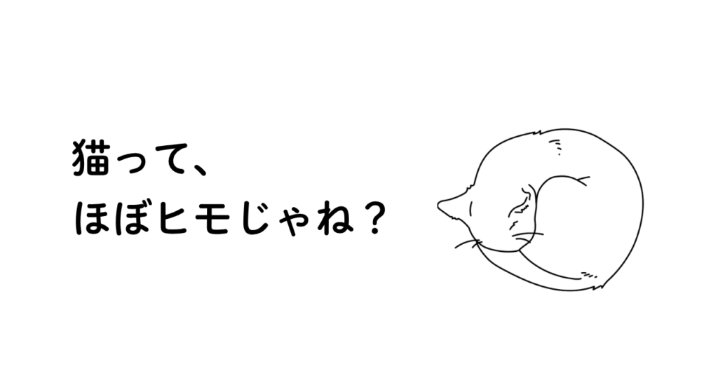 丸まって眠る猫のイラスト